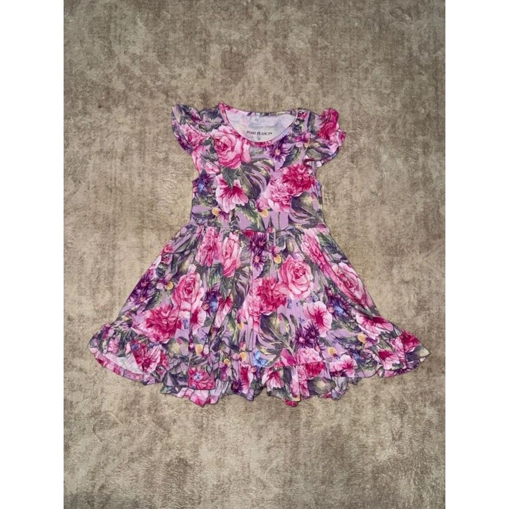 Posh Peanut floral dress 2T